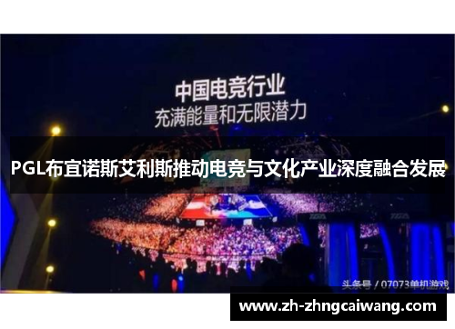 PGL布宜诺斯艾利斯推动电竞与文化产业深度融合发展